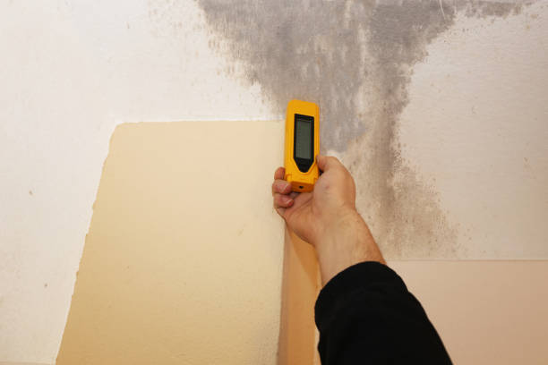 Best Crawl Space Mold Remediation  in Snowmass Village, CO