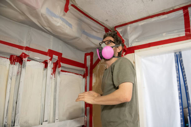 Best Mold Remediation for Vacation Homes  in Snowmass Village, CO