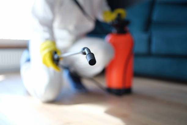 Best Asbestos and Lead Testing During Mold Inspection  in Snowmass Village, CO